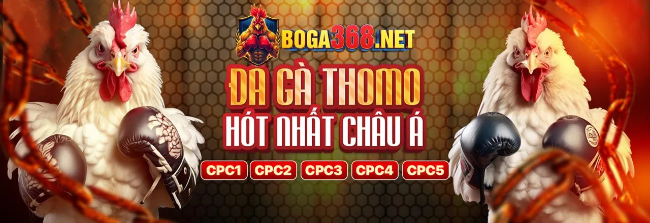 Sảnh Đá Gà Trực Tuyến kbbet Casino