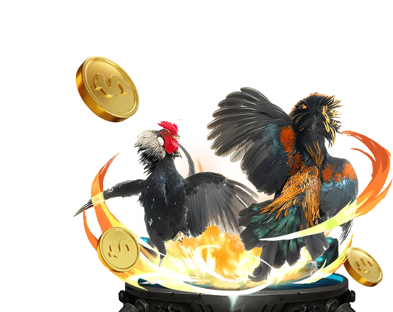 Kiểm tra tính công bằng của KBbet Casino